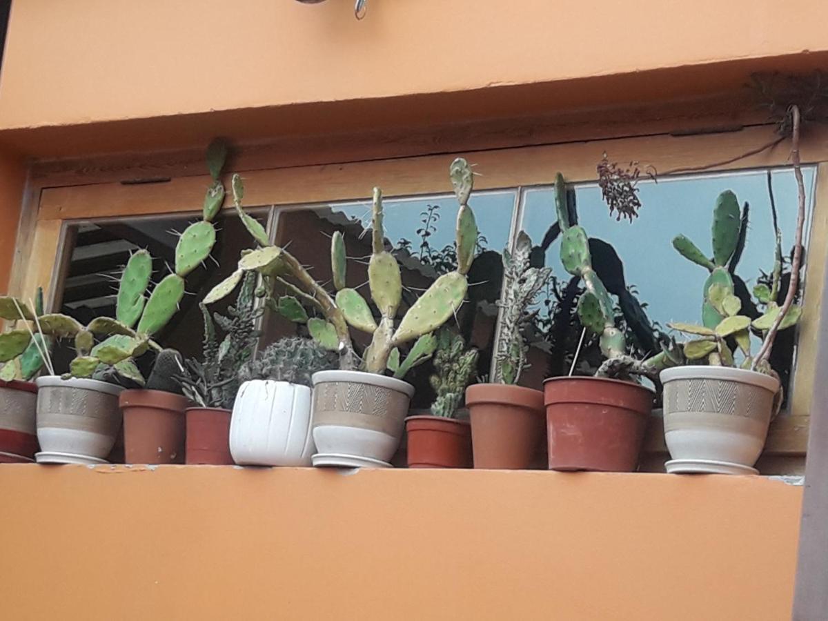 Appartamento La biblioteca Olavarría Esterno foto